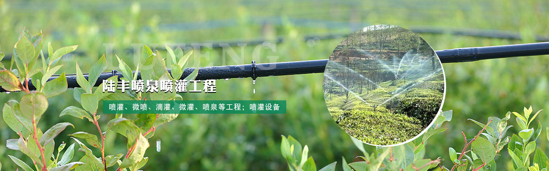 ˮAԴOI(y)B(yng)ֳ޹˾